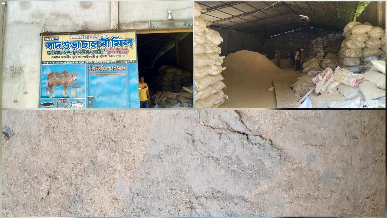 নওগাঁয় পশুখাদ্যে তৈরিতে মাটি ও টাইলসের কাঁচামাল মেশানোর অভিযোগ