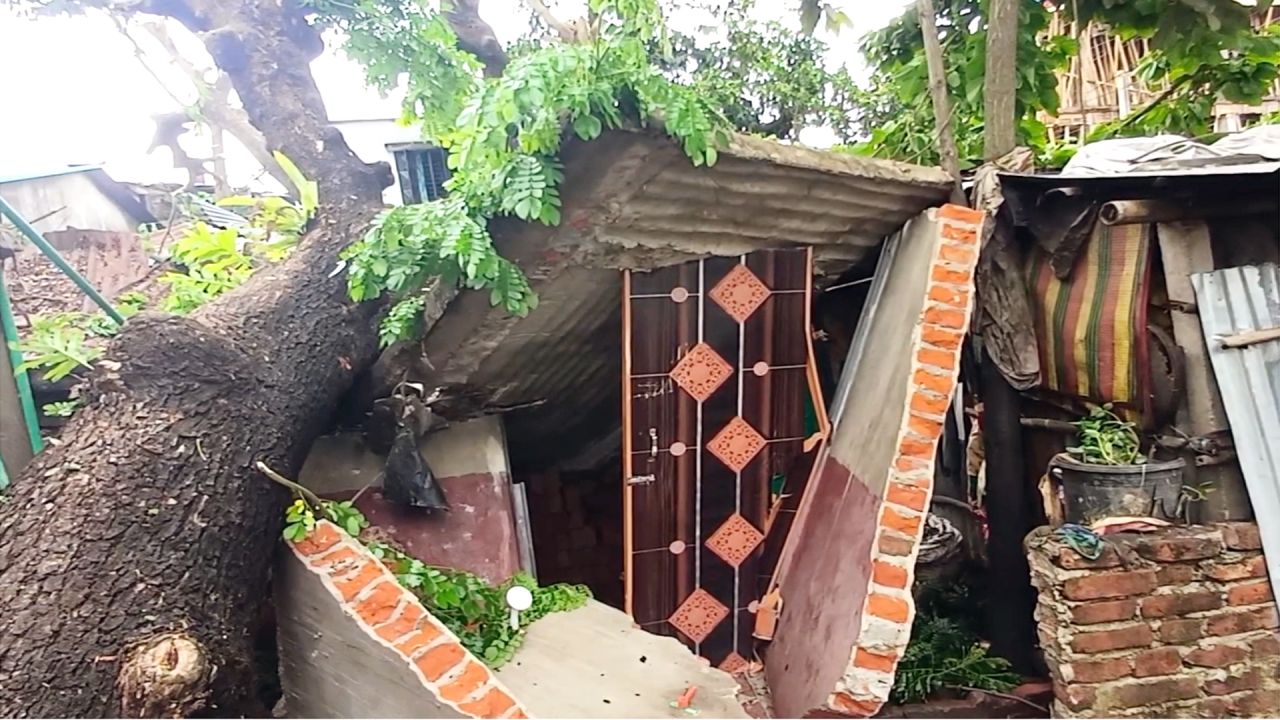 হাটহাজারীতে কালবৈশাখী ঝড়ে ঘরের ওপর গাছ পড়ে এক পরিবার নিঃস্ব 