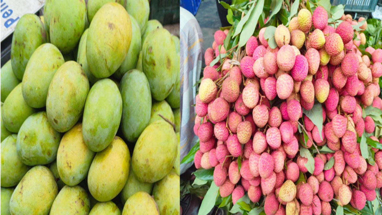 কেমিক্যাল মিশ্রণে আগাম পাকা ফল: বাজারে সিন্ডিকেটের দাপট ও স্বাস্থ্যঝুঁকি